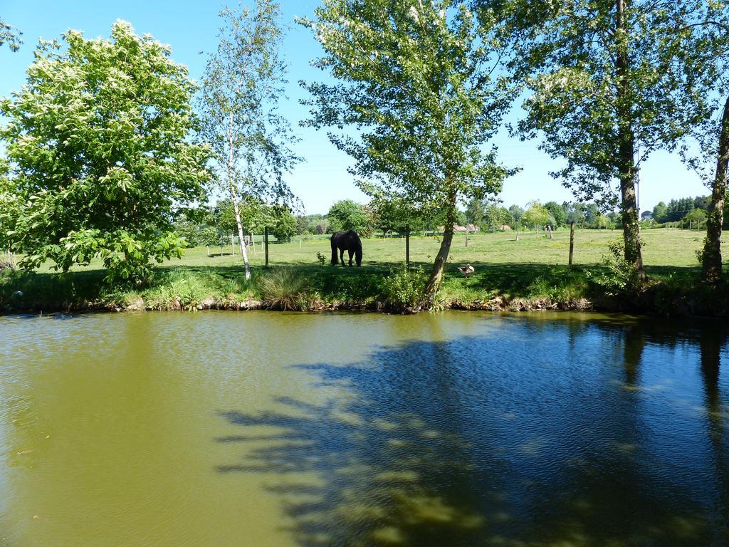 Paardenhof Guesthouse Esquelbecq Exteriér fotografie