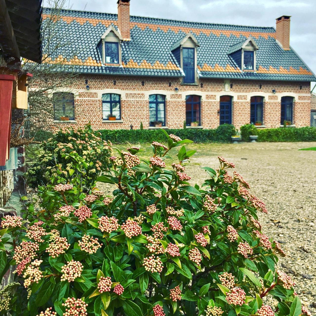 Paardenhof Guesthouse Esquelbecq Exteriér fotografie